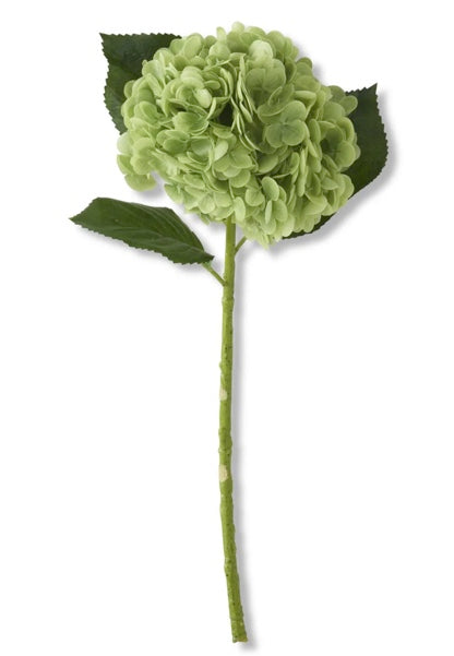 20 inch real touch green hydrangea stem