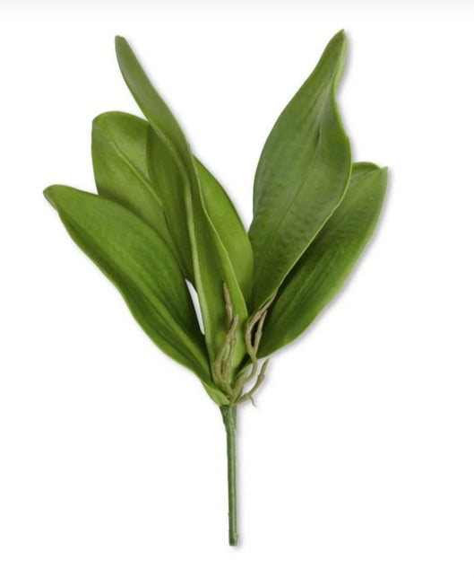 13 Inch real touch 5 orchid leaves stem