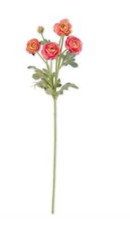 26 inch pink ranunculus spray