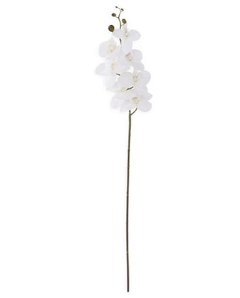 34.5 inch white orchid stem